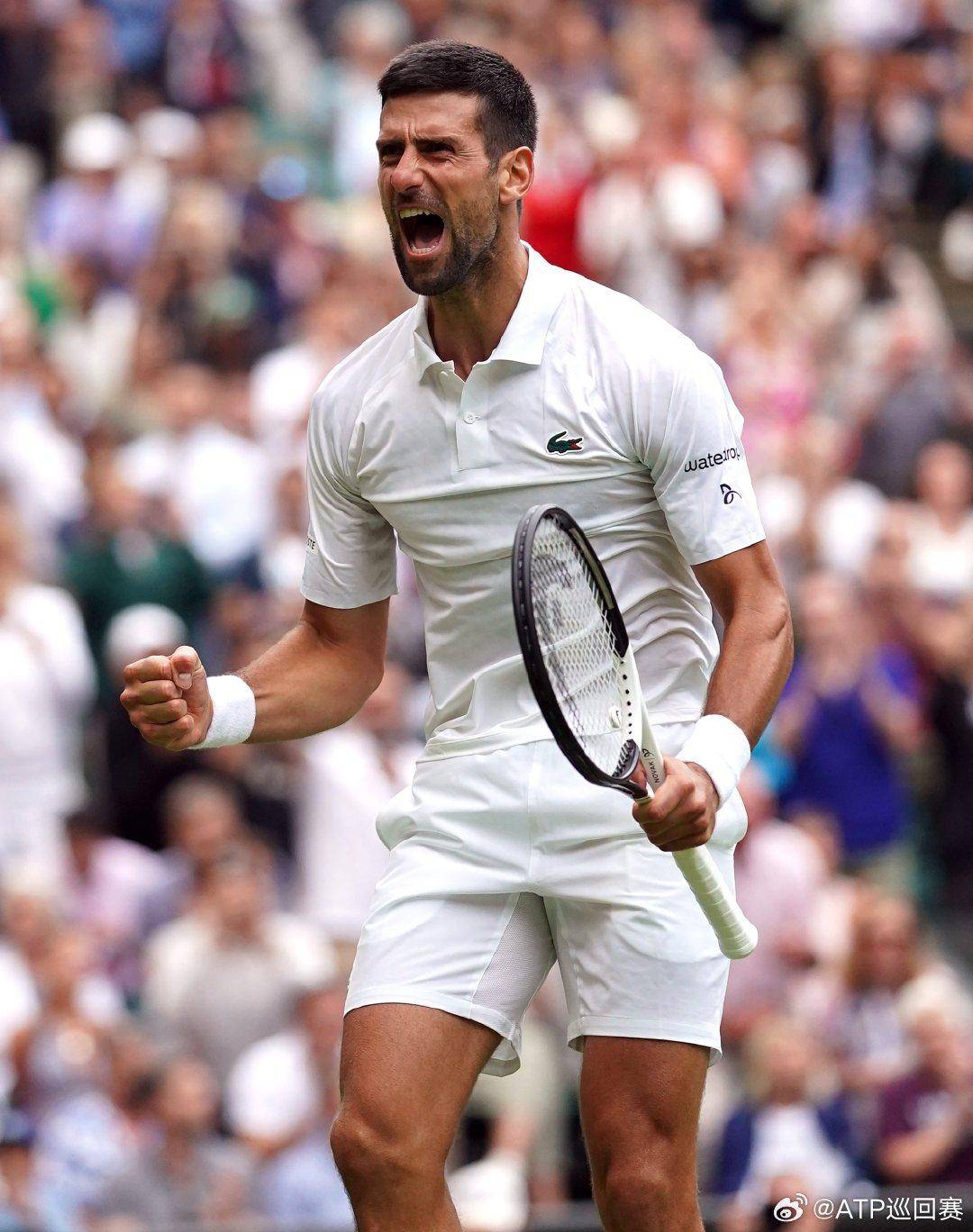 场上已见3 场上已见3