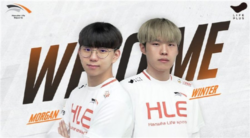 无MVP